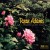 Buy Ryan Adams - Baby, I Love You (CDS) Mp3 Download