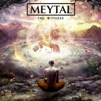 Purchase Meytal - The Witness