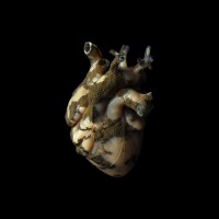 Purchase Highasakite - Uranium Heart