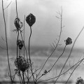 Buy Recondite - Placid CD2 Mp3 Download