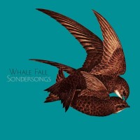 Purchase Whale Fall - Sondersongs