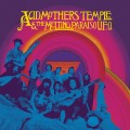 Buy Acid Mothers Temple & The Melting Paraiso UFO - Acid Mothers Temple & The Melting Paraiso U.F.O. (Expanded) Mp3 Download