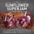 Buy Ian Paice - Sunflower Superjam - Live At The Royal Albert Hall 2012 Mp3 Download