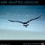 Purchase VA- MDB Beautiful Voices 019 MP3
