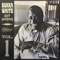Buy Bukka White - Sky Songs Vol. 1 (Vinyl) Mp3 Download