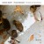 Buy Andras Schiff - Franz Schubert: Sonatas & Impromptus Mp3 Download