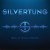 Buy Silvertung - (But, At What Cost??!) Mp3 Download