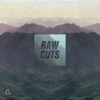 Purchase VA - Chillhop Raw Cuts