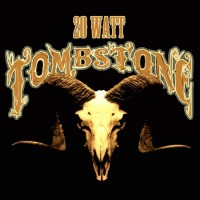 Purchase 20 Watt Tombstone - Wisco Disco