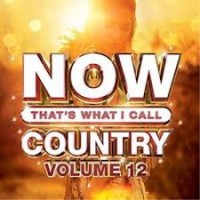 Purchase VA - Now That's What I Call Country Vol 12