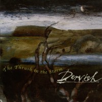 Purchase Dervish - The Thrush In The Storm