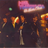 Purchase Pink Flamingos - We Never Close (Vinyl)