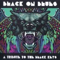 Buy VA - Black On Blues - A Tribute To The Black Keys Mp3 Download