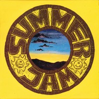 Purchase Coloured Balls - Summer Jam (Vinyl)