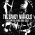 Buy The Dandy Warhols - The Best Of The Capitol Years: 1995-2007 Mp3 Download