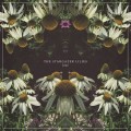 Buy The Stargazer Lilies - Lost Mp3 Download