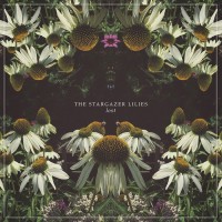 Purchase The Stargazer Lilies - Lost