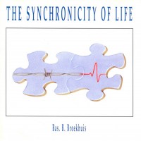 Purchase Bas Broekhuis - The Synchronicity Of Life