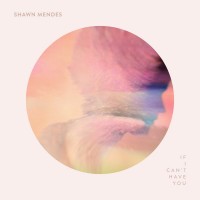 Purchase Shawn Mendes - If I Can't Have You (CDS)