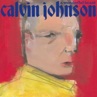 Purchase Calvin Johnson - A Wonderful Beast