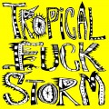 Buy Tropical Fuck Storm - The Planet Of Straw Men (CDS) Mp3 Download
