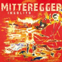 Purchase Herwig Mitteregger - Insolito