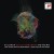 Buy Yo-Yo Ma - Salonen - Cello Concerto Mp3 Download