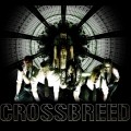 Buy Crossbreed - EP Mp3 Download