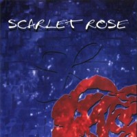 Purchase Scarlet Rose - Prime