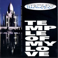 Purchase The Big Skip - Temple Of My Love