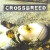 Buy Crossbreed - Babydoll (EP) Mp3 Download