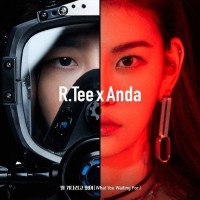 Purchase R.Tee & Anda - What You Waiting For (CDS)