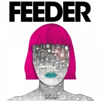 Purchase Feeder - Tallulah