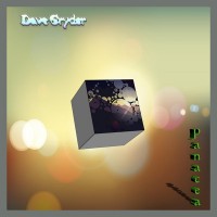 Purchase Dave Gryder - Panacea