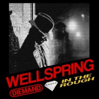 Purchase Diemand In The Rough - Wellspring