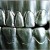 Buy Change Of Heart - Steel Teeth Mp3 Download