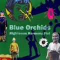 Buy Blue Orchids - Righteous Harmony Fist Mp3 Download