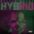 Buy Collie Buddz - Hybrid Mp3 Download