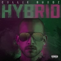 Purchase Collie Buddz - Hybrid