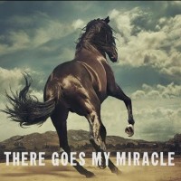 Purchase Bruce Springsteen - There Goes My Miracle (CDS)