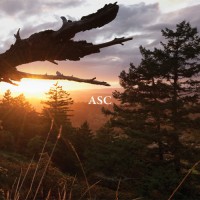 Purchase Asc - The Light That Burns Twice As Bright