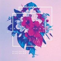 Purchase Blackbird Blackbird - Boracay Planet (EP)