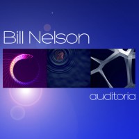 Purchase Bill Nelson - Auditoria