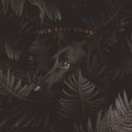 Buy Old Salt Union - Where The Dogs Don't Bite Mp3 Download