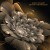 Buy Steve Roach - Bloom Ascension Mp3 Download