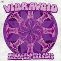 Buy Vibravoid - Intergalactic Acid Freak Out Orgasms Mp3 Download