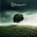 Buy Retrospective - Spectrum Of The Green Morning Mp3 Download