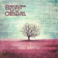 Purchase Barcelona Gipsy Balkan Orchestra - Avo Kanto