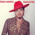 Buy Adam Lambert - Comin In Hot (CDS) Mp3 Download