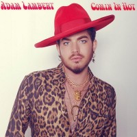 Purchase Adam Lambert - Comin In Hot (CDS)